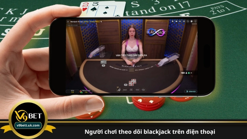 người chơi theo dõi blackjack trên điện thoại